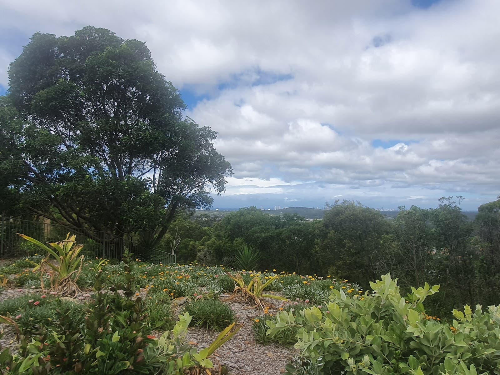 Pacific Pines Lookout — Hope Island, Gold Coast