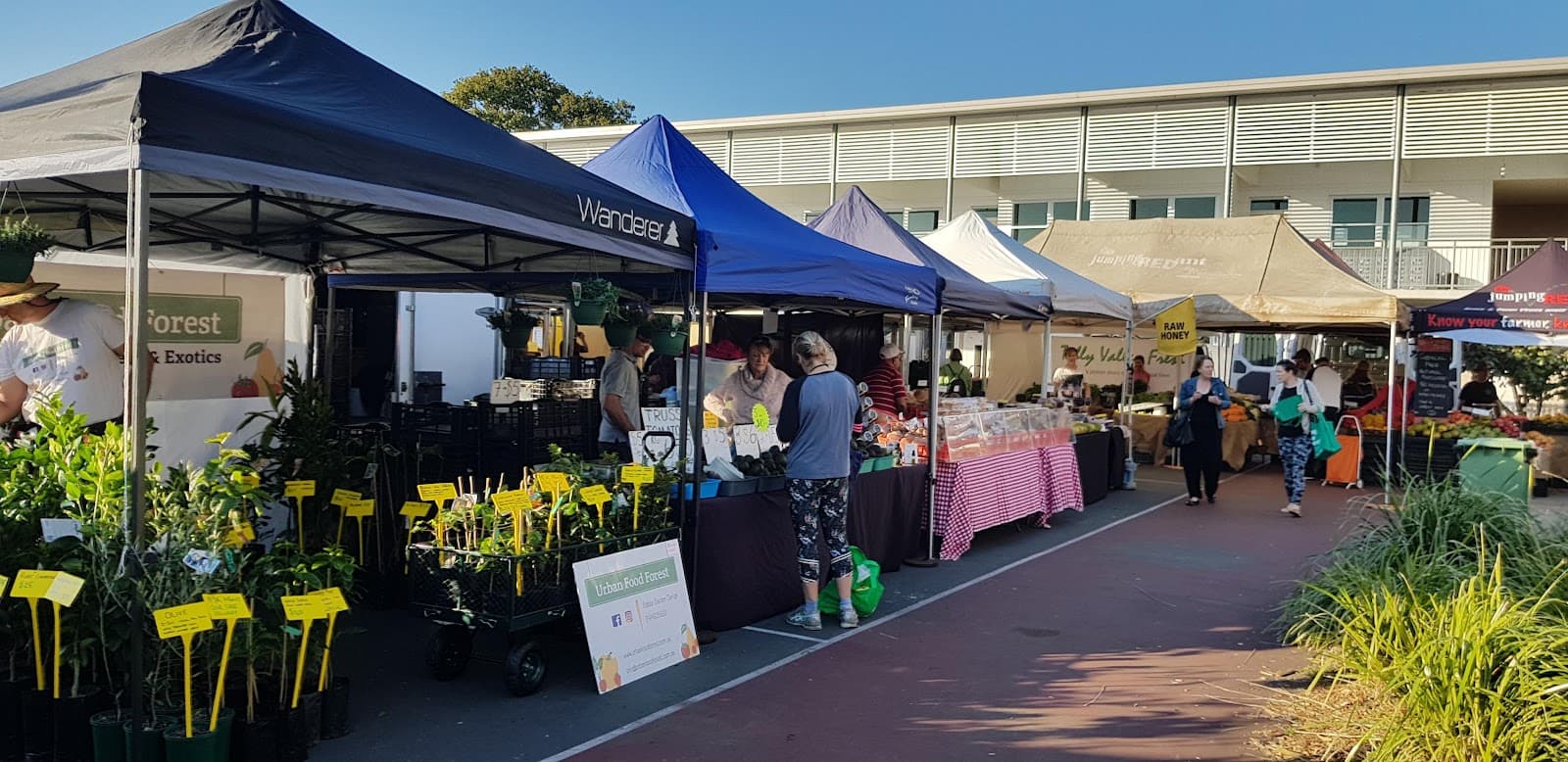 Palm Beach Farmers Market — Currumbin, Gold Coast