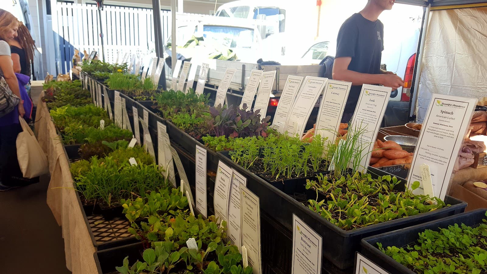 Palm Beach Farmers Market — Currumbin, Gold Coast