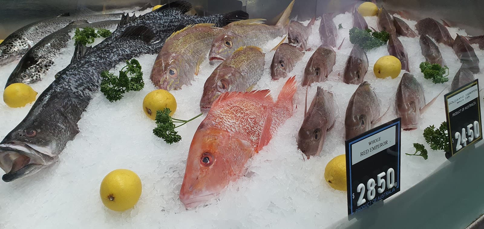 Global Pacific Seafoods — Robina, Gold Coast
