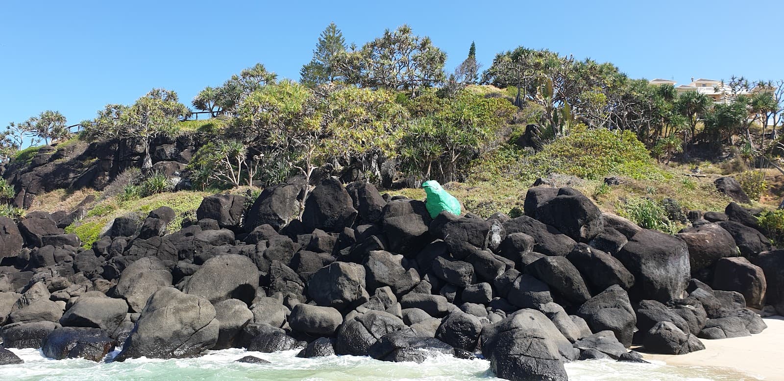 Thegreenfrog — Coolangatta, Gold Coast