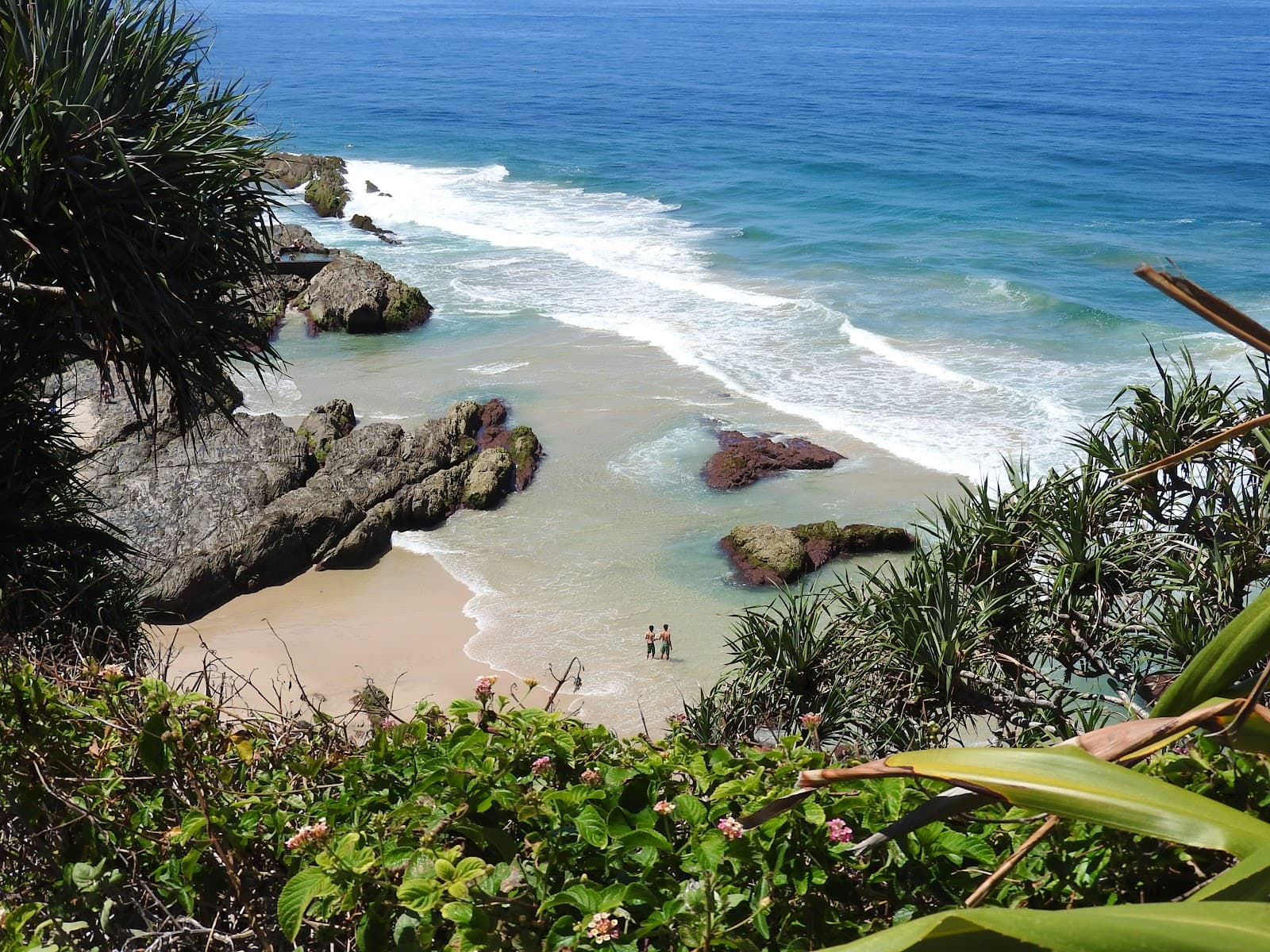 Thegreenfrog — Coolangatta, Gold Coast