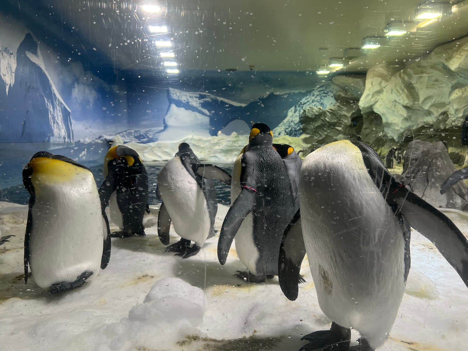 Sea World — Hope Island, Gold Coast
