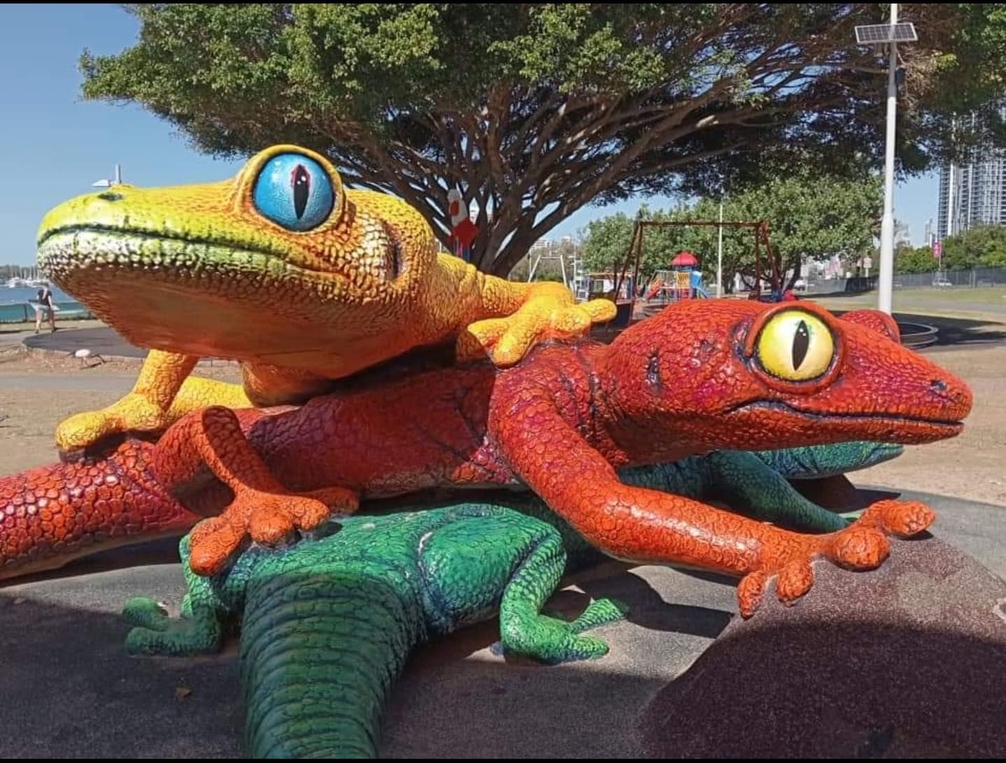The Big Geckos — Southport, Gold Coast
