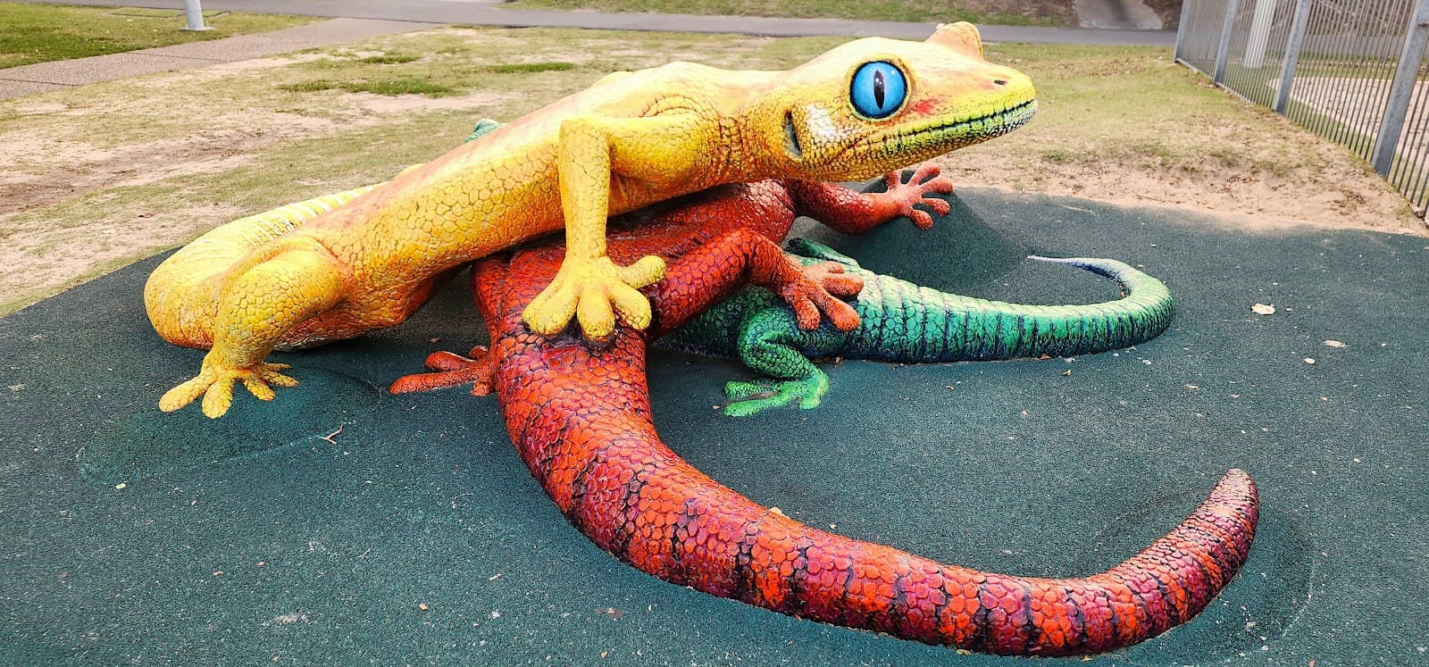 The Big Geckos — Southport, Gold Coast