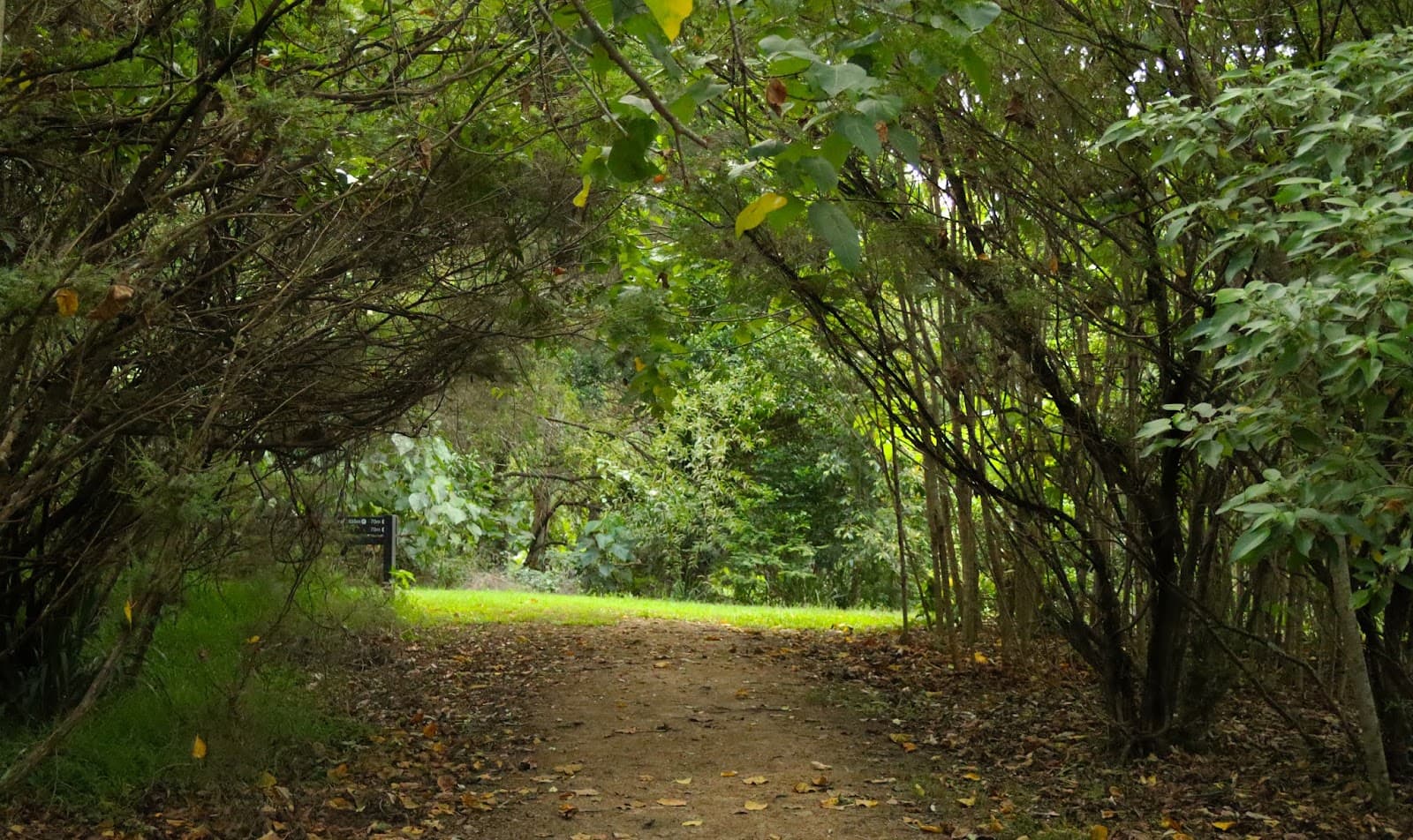 Hinterland Regional Park — Robina, Gold Coast