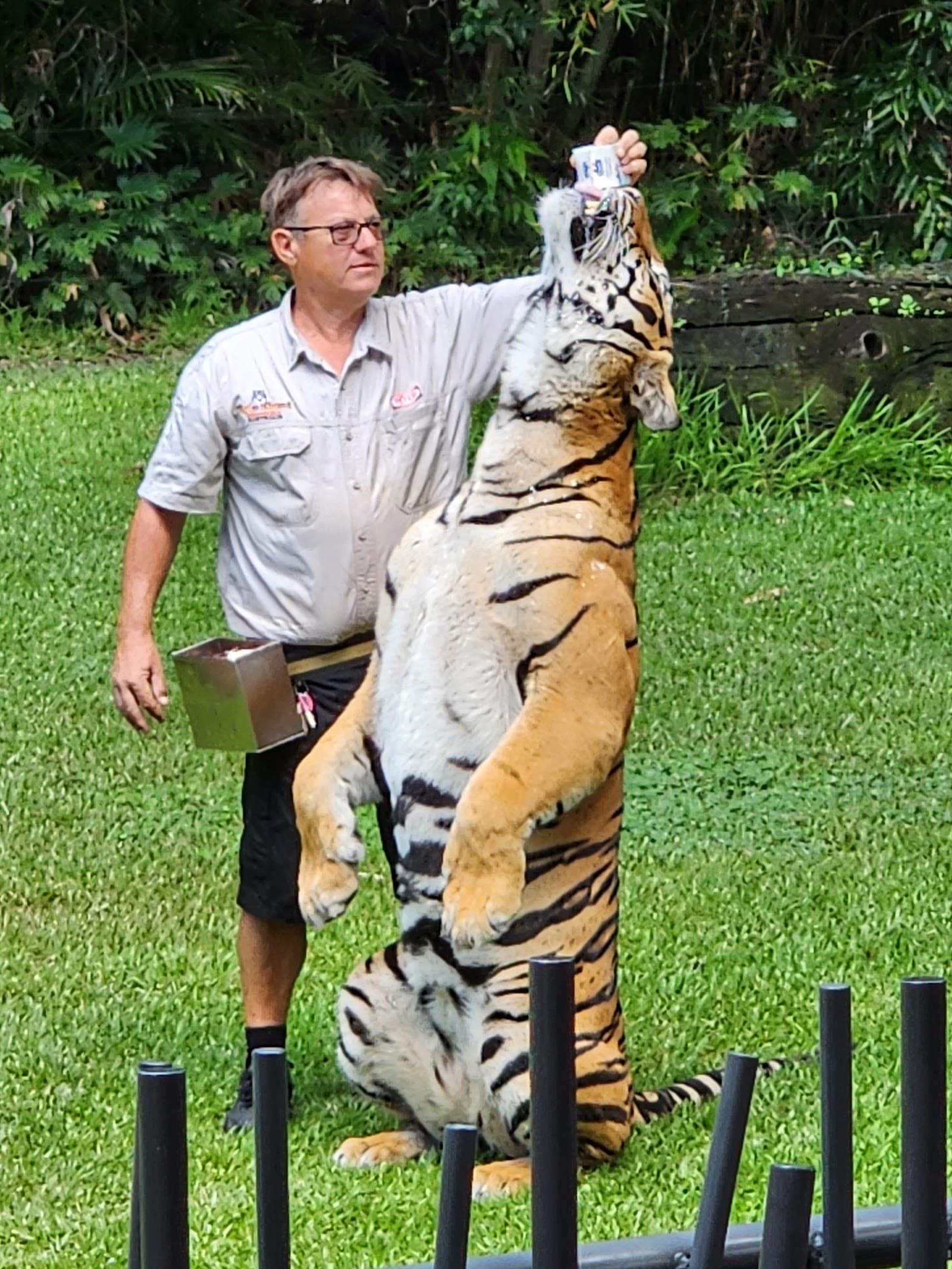 Tiger Island — Hope Island, Gold Coast