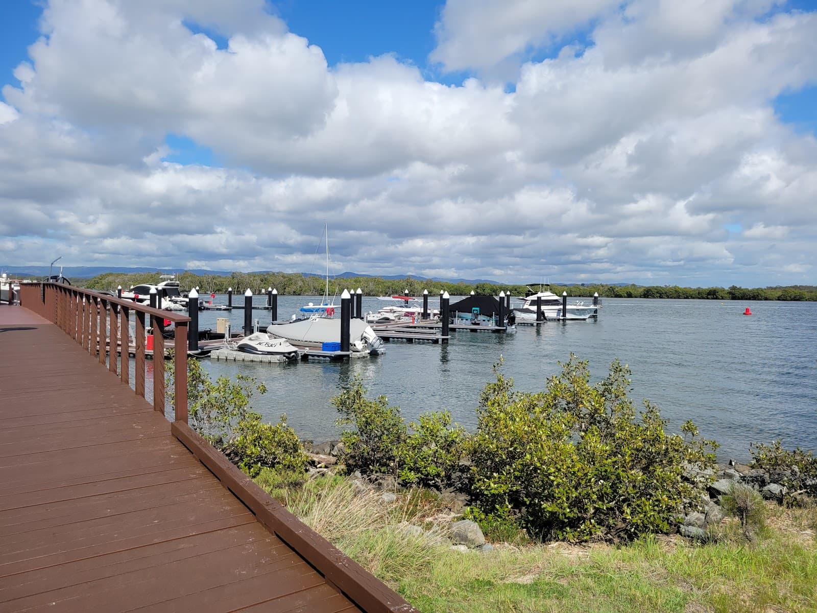 Paradise Mangrove boardwalk — Hope Island, Gold Coast