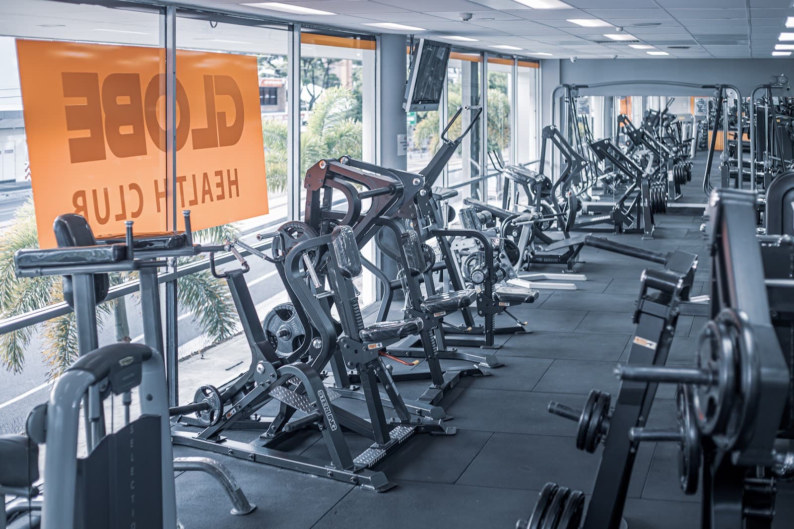 Globe Health Club — Main Beach, Gold Coast