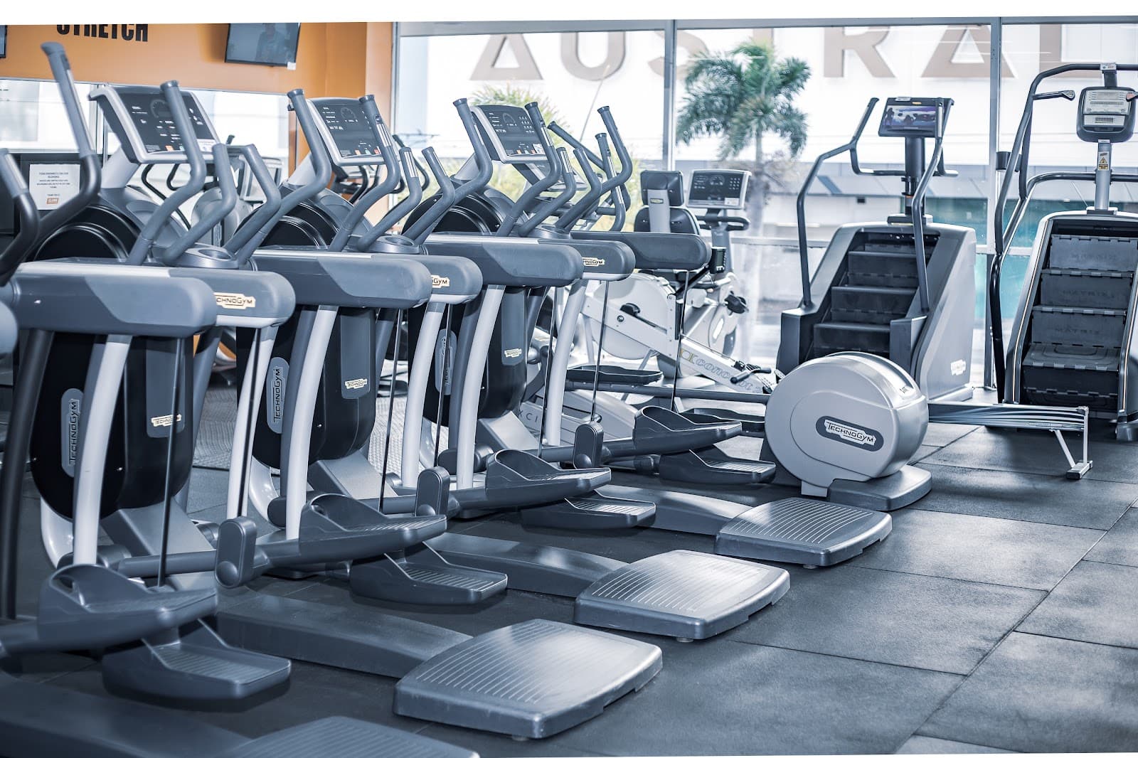 Globe Health Club — Main Beach, Gold Coast
