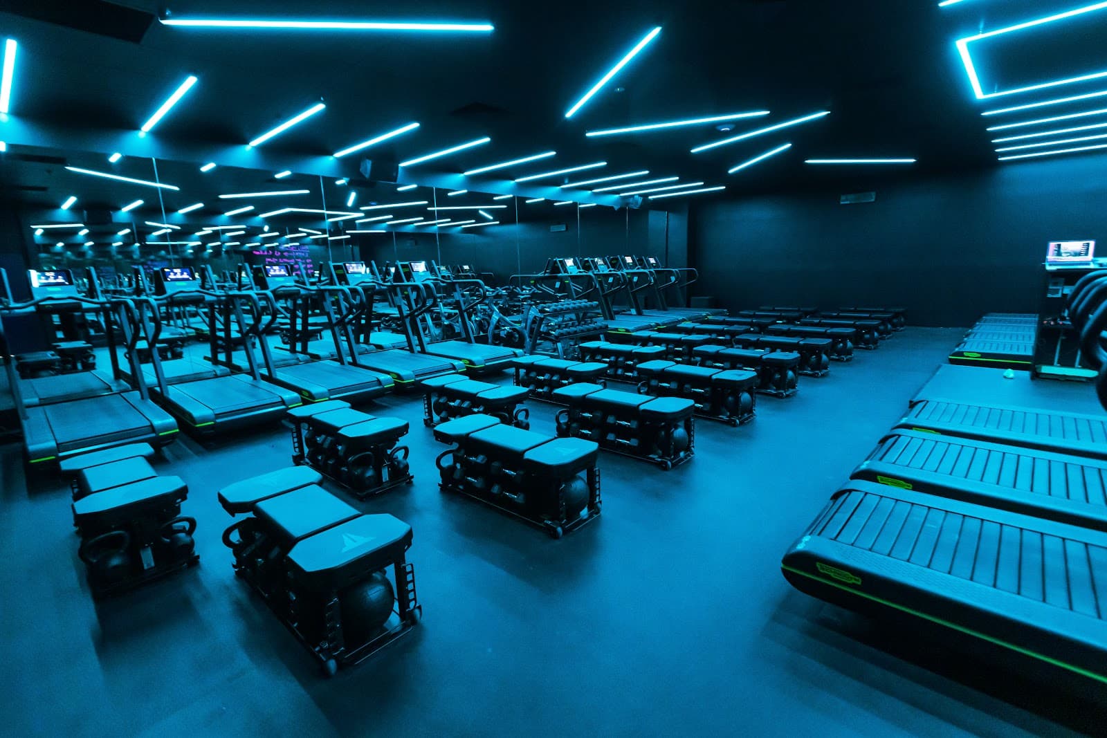 Therapy Fitness — Miami, Gold Coast