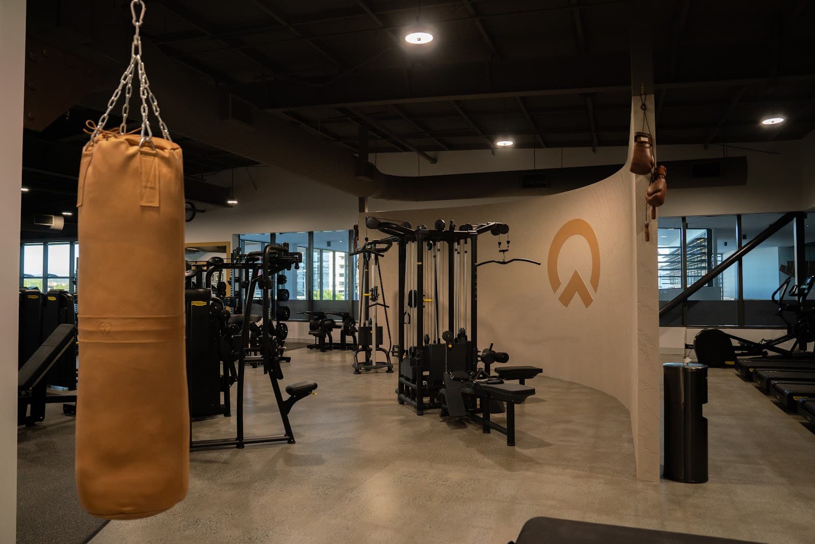 The LOVT Health Club — Hope Island, Gold Coast