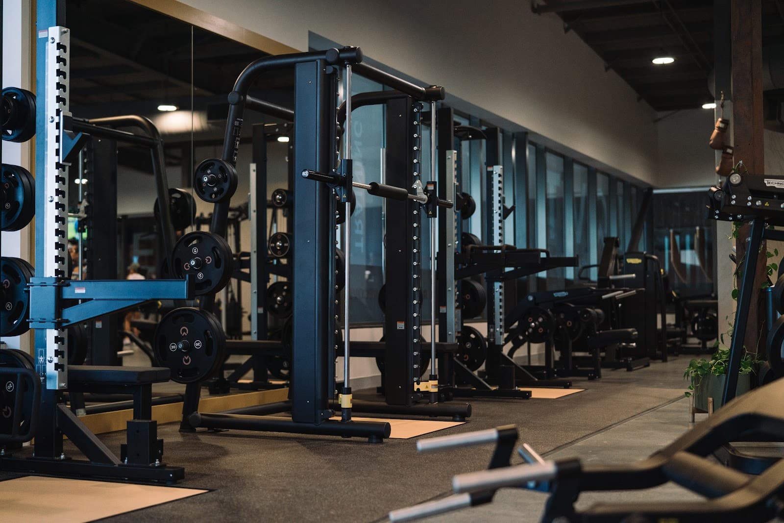 The LOVT Health Club — Hope Island, Gold Coast