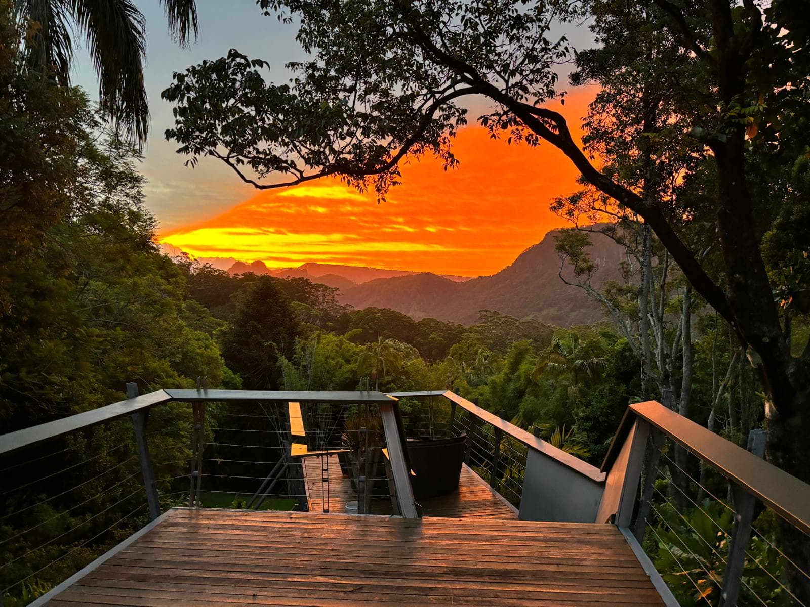 Ananda Rainforest Treehouse — Currumbin, Gold Coast