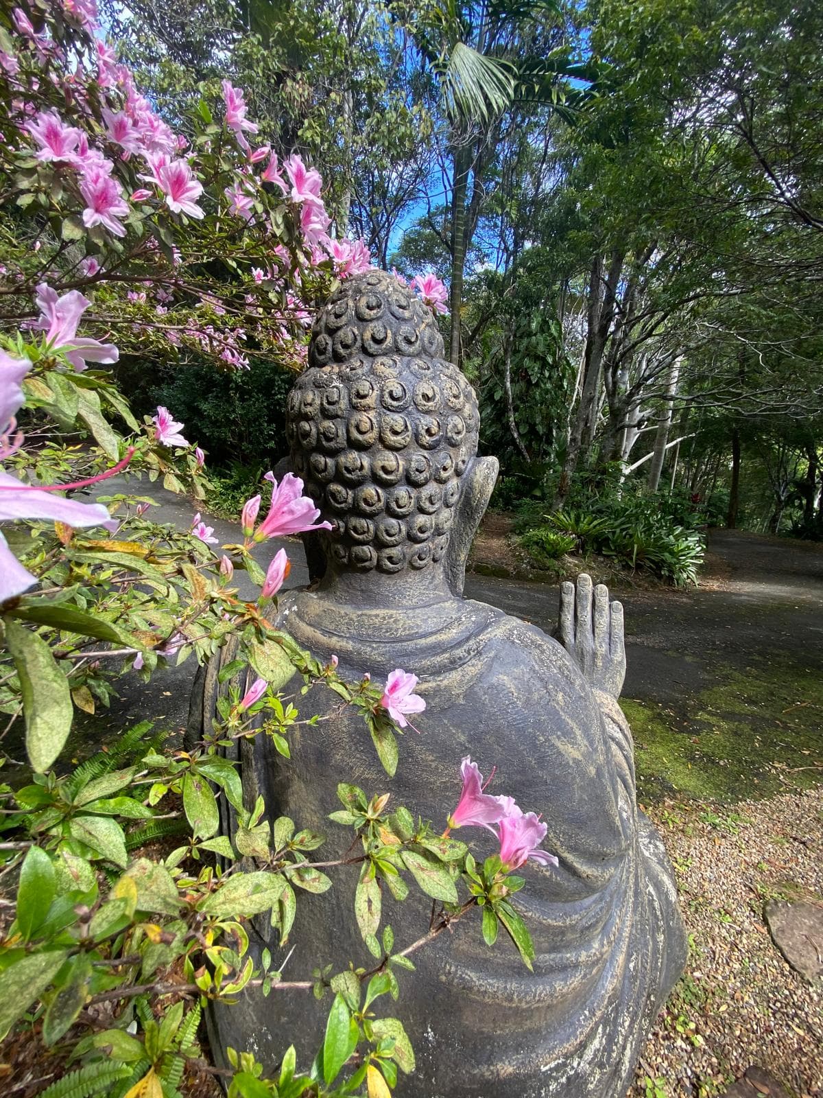 Ananda Rainforest Treehouse — Currumbin, Gold Coast