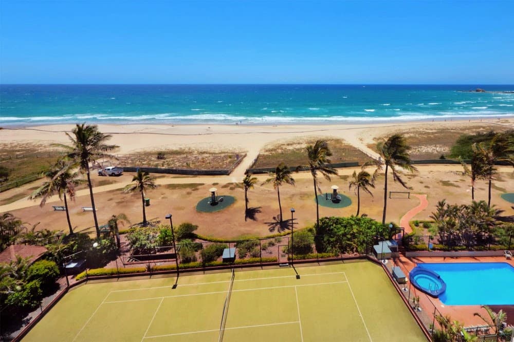 Princess Palm on the Beach — Currumbin, Gold Coast
