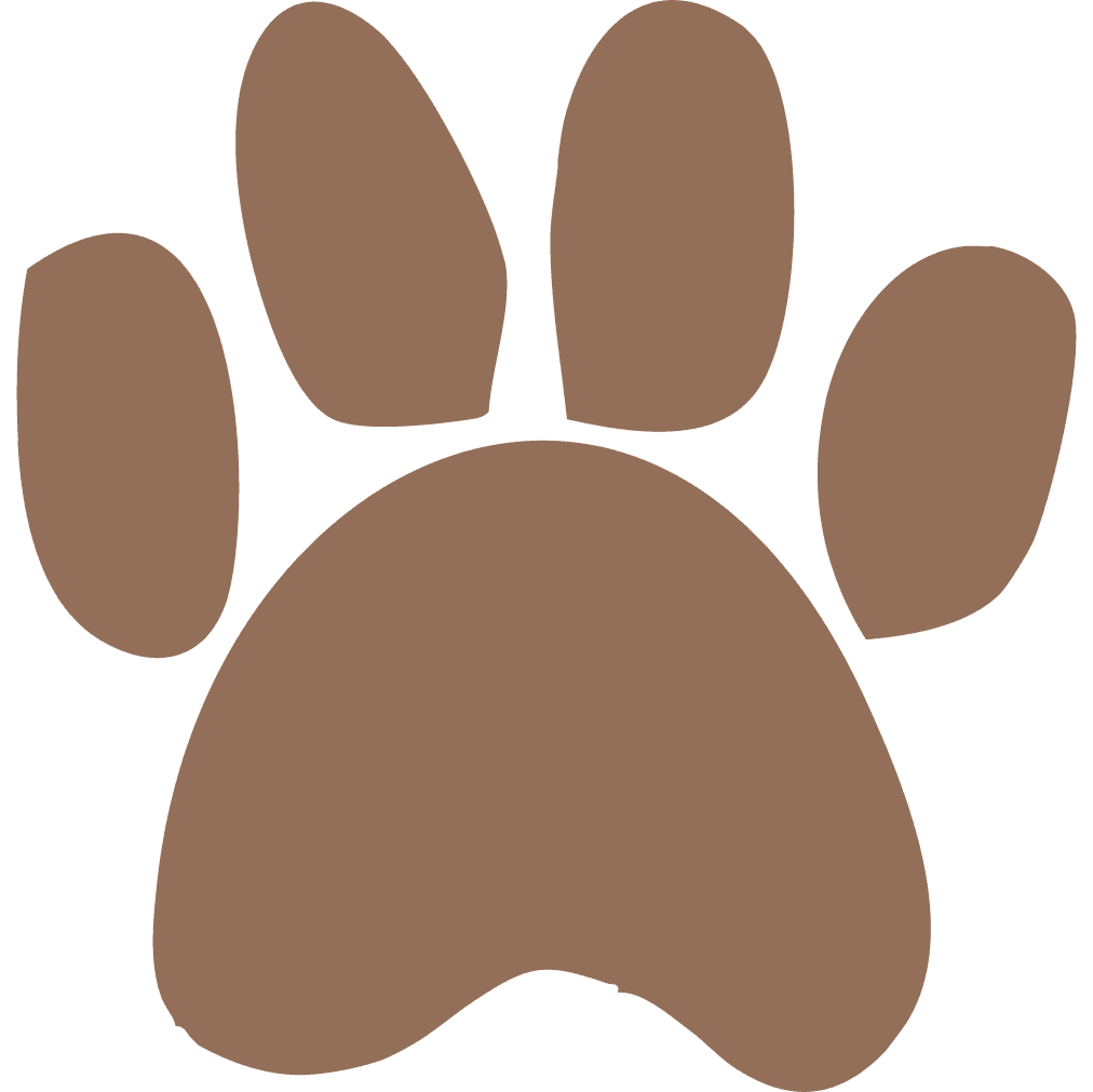 Black Dingo Cafe