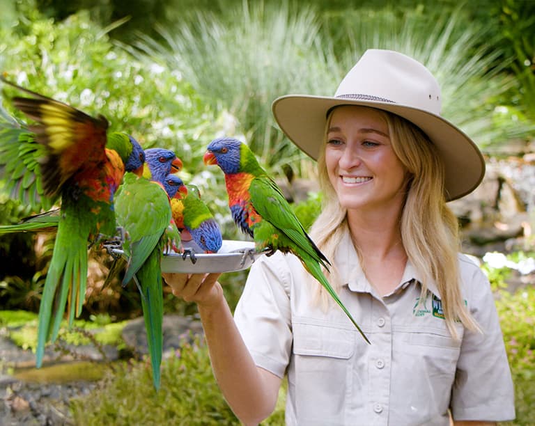 Currumbin Wildlife Sanctuary
