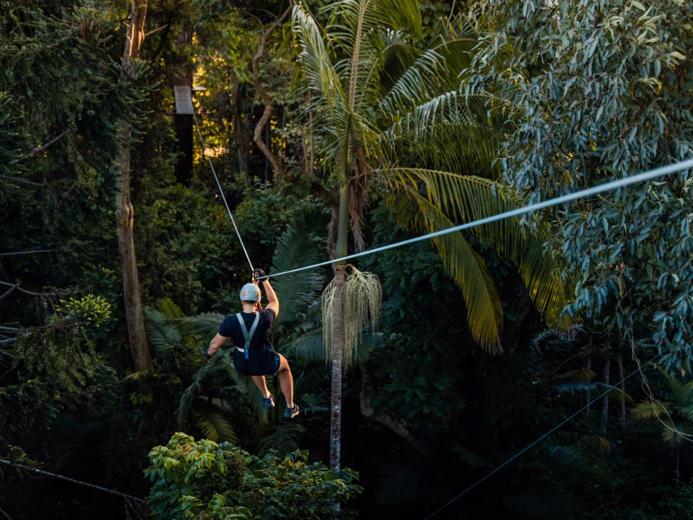 TreeTop Challenge Gold Coast Currumbin