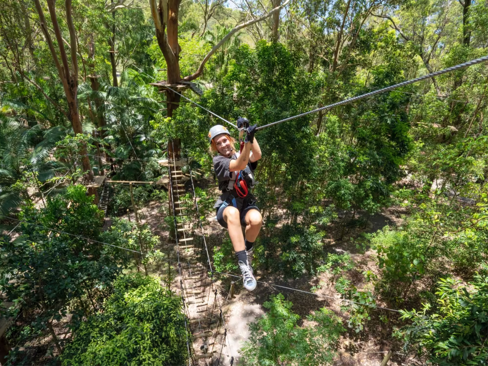 TreeTop Challenge Gold Coast Currumbin