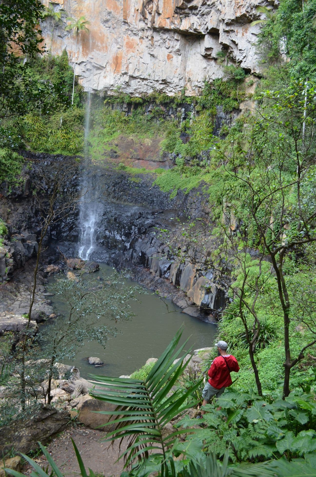 Natural Bridge, Springbrook National Park