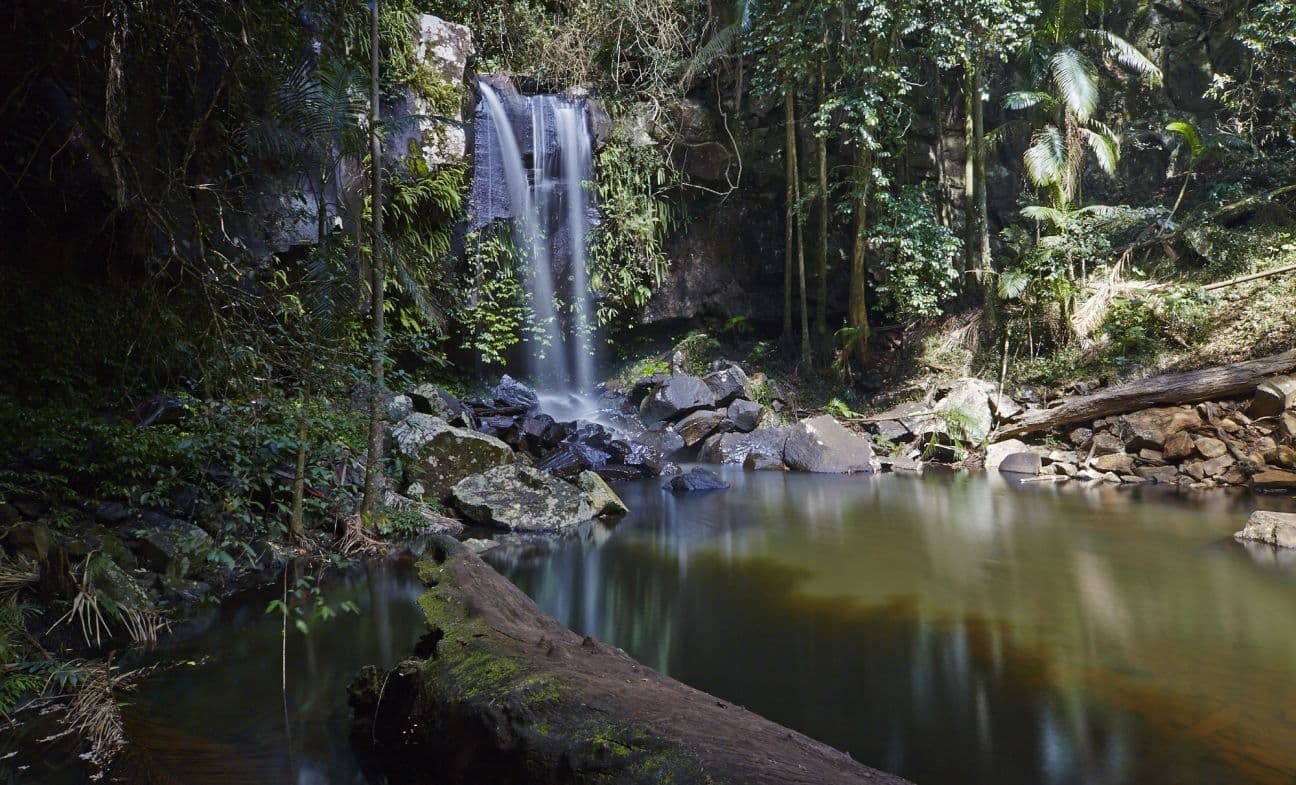 Curtis Falls Walking Track