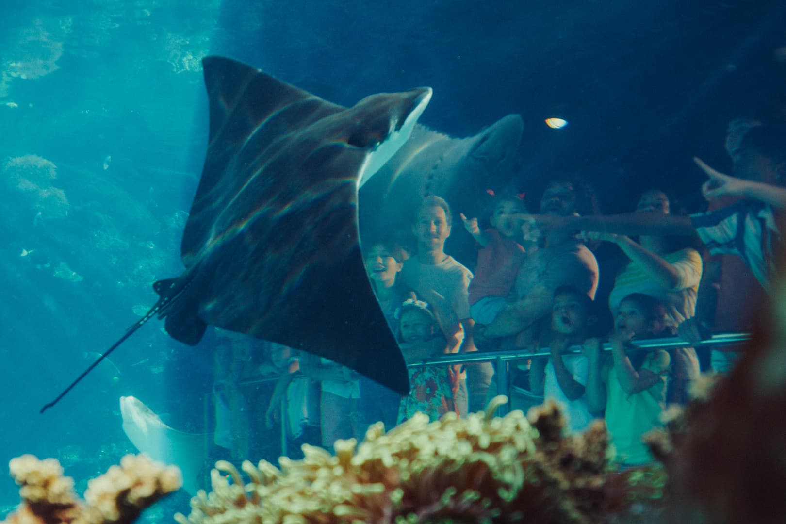 Sea World